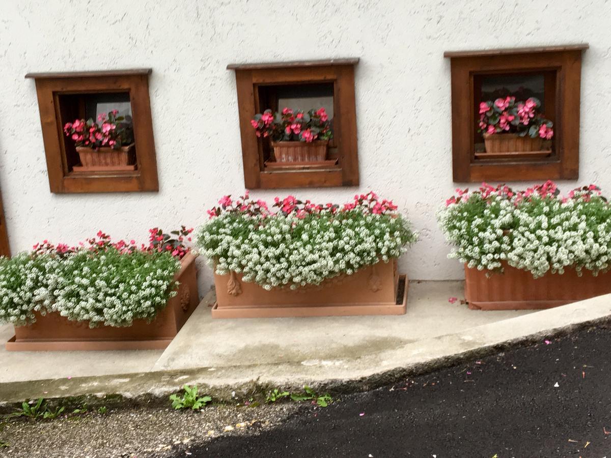 Albergo Meuble Tarandan Forni di Sopra Buitenkant foto