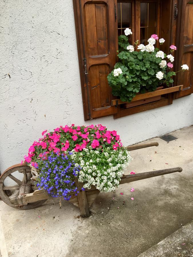 Albergo Meuble Tarandan Forni di Sopra Buitenkant foto