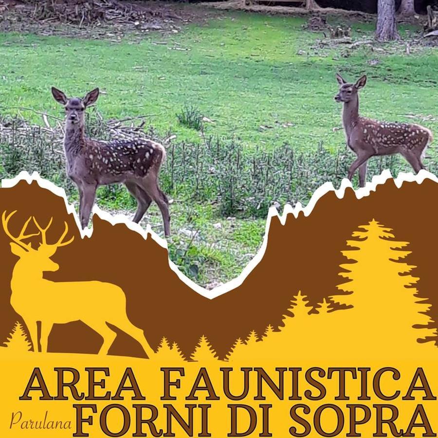 Albergo Meuble Tarandan Forni di Sopra Buitenkant foto