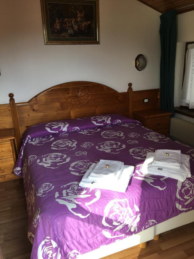 Albergo Meuble Tarandan Forni di Sopra Buitenkant foto